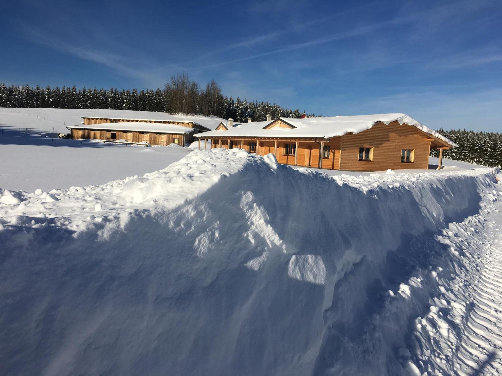 Big Sky Ranch Bed & Breakfast Liebenau  Luaran gambar